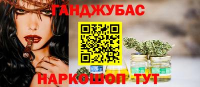 амф Камышлов